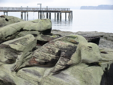 Log Carvings-Port Townsend, WA photography by Laura Wong-Rose